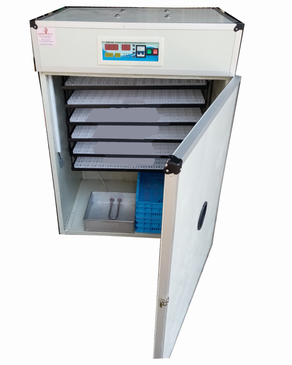 Egg Incubator