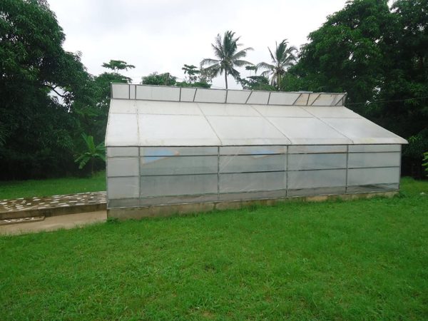 Solar dryer